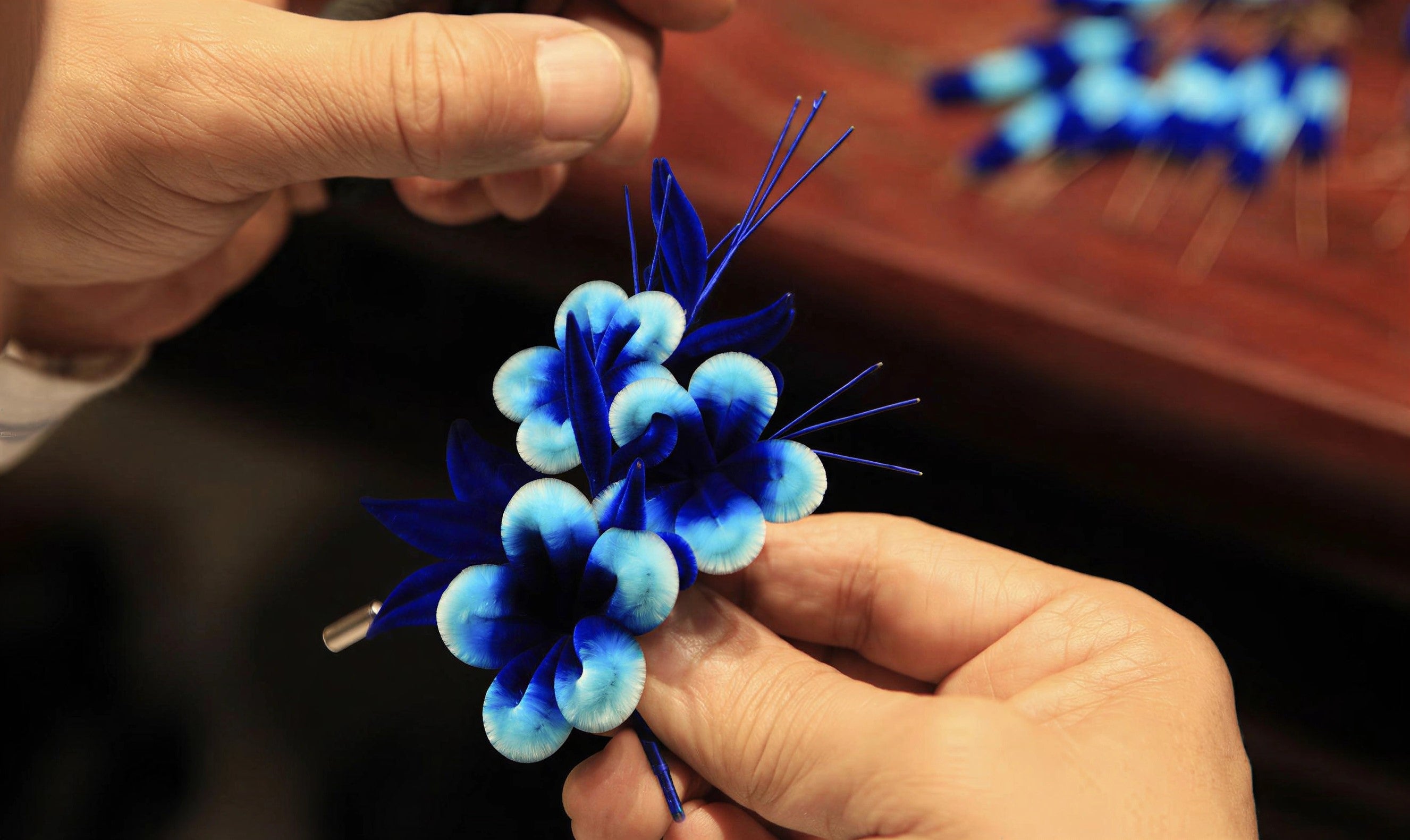 RongHua (Velvet Flowers): She Chose to Hold Time Still
